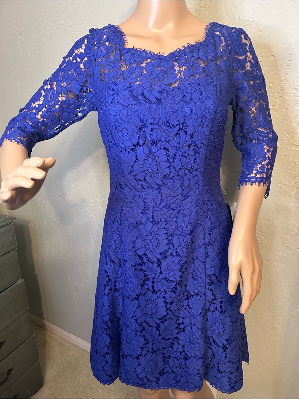 Eliza J Royal Blue Floral Lace Fit-and-Flare Dress w/ 3 Quarter Sleeves size 2